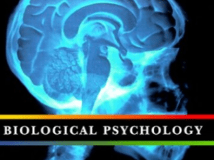 Biological Psychology by Stephen Klein