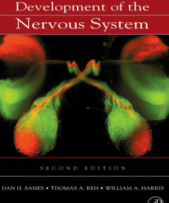 Development of the Nervous System – Dan H. Sanes