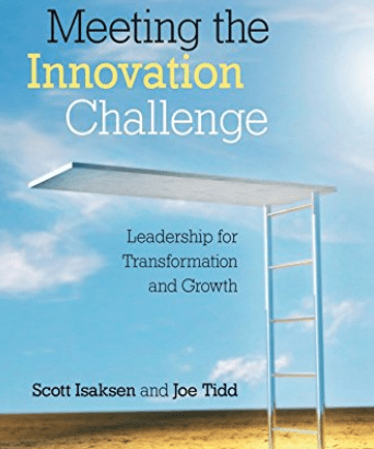 Meeting the Innovation Challenge av Scott Isaksen