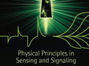 Physical Principles in Sensing and Signaling