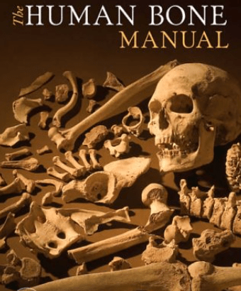 The Human Bone Manual